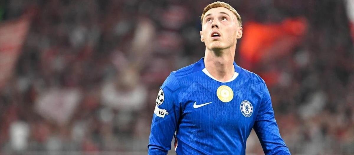 8868体育 - 333体育世界杯投注